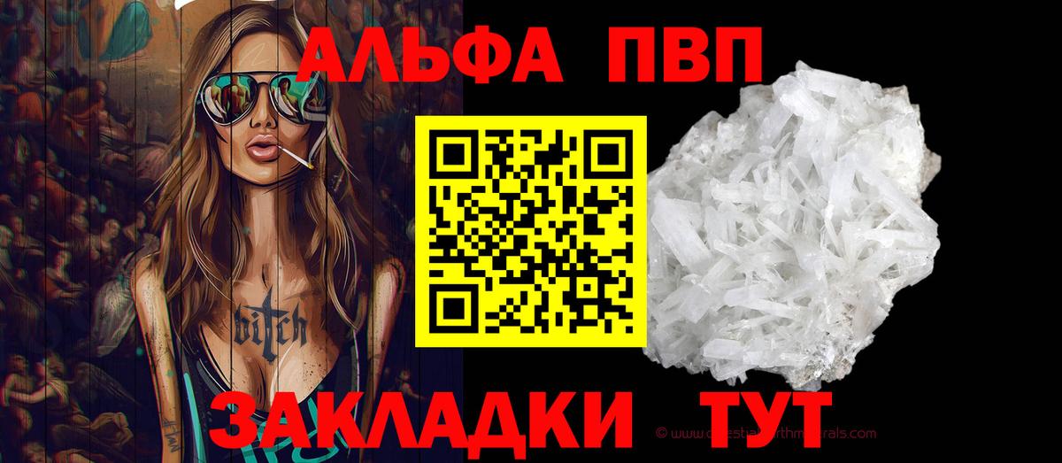 Альфа ПВП СК Шахты