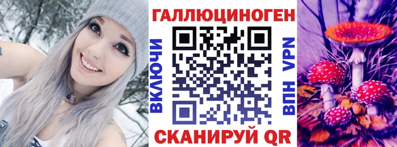 Псилоцибиновые грибы Psilocybine cubensis Шахты