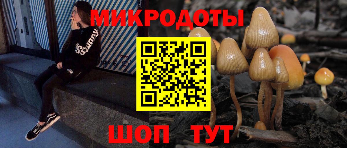 Псилоцибиновые грибы прущие грибы  Вход с VPN  купить закладку  Шахты 